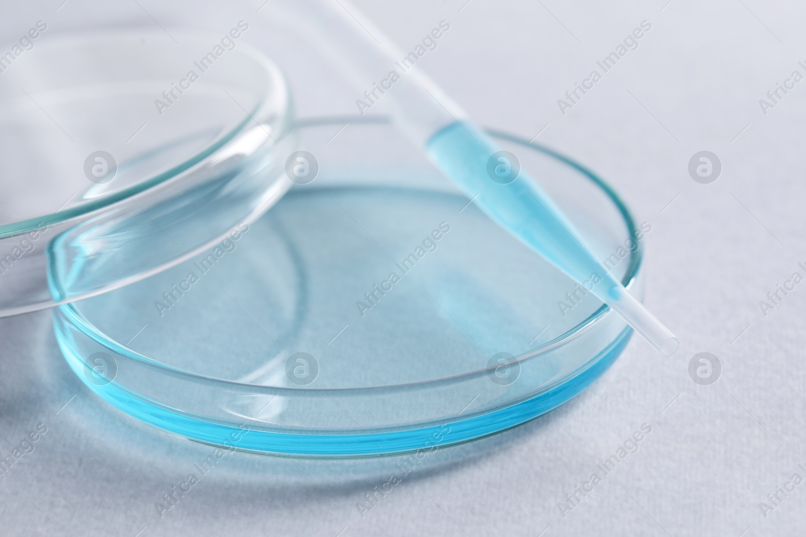 Photo of Transfer pipette and petri dish on white background, closeup