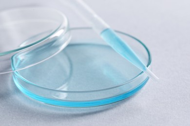 Transfer pipette and petri dish on white background, closeup