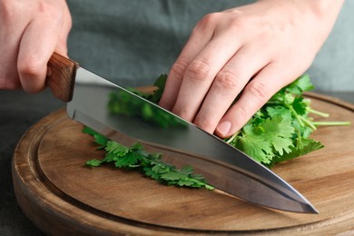 Woman cutting fresh coriander at table, closeup