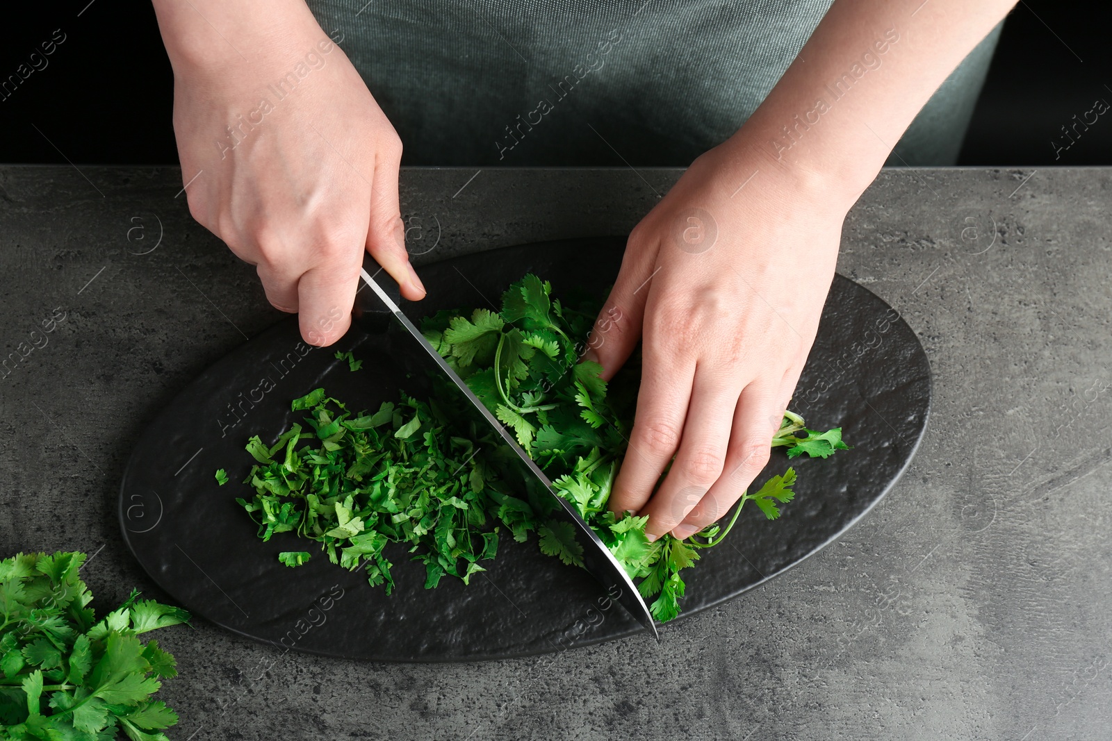 Photo of Woman cutting fresh coriander at grey textured table, top view