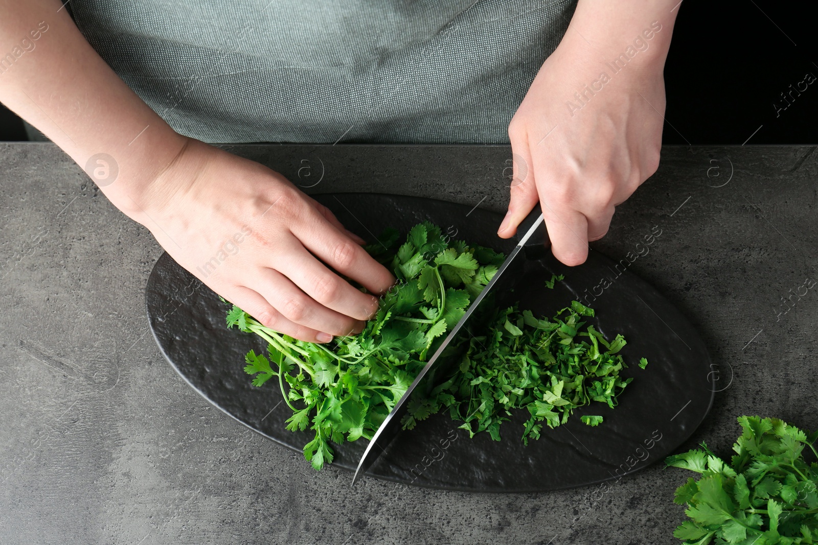 Photo of Woman cutting fresh coriander at grey textured table, top view