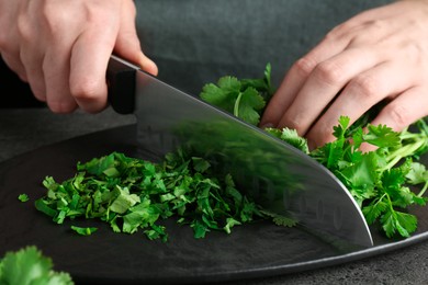 Photo of Woman cutting fresh coriander at grey textured table, closeup