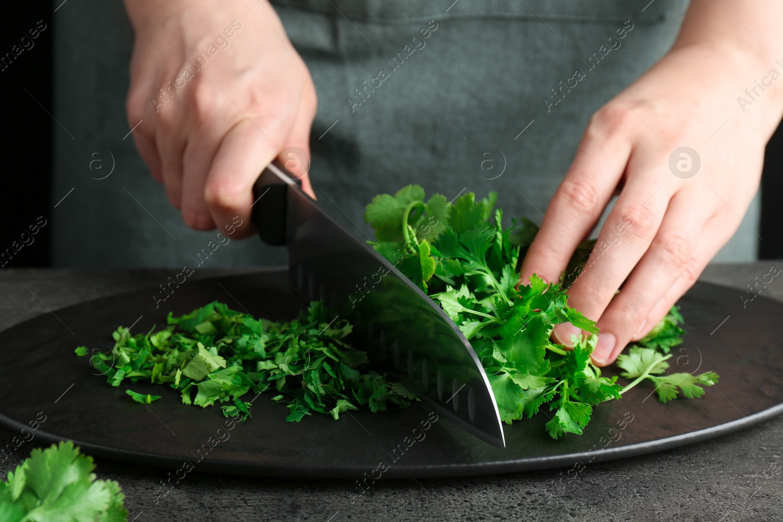 Photo of Woman cutting fresh coriander at grey textured table, closeup