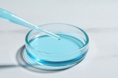 Photo of Dripping liquid from pipette into petri dish at white table, closeup