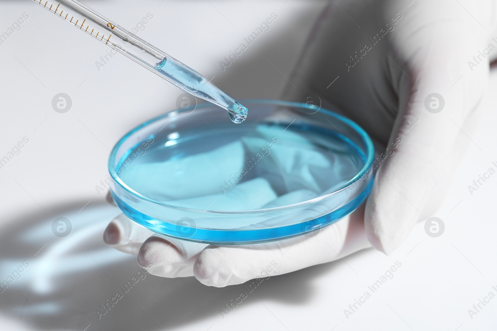 Photo of Scientist dripping liquid from pipette into petri dish at white table, closeup