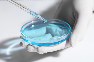 Photo of Scientist dripping liquid from pipette into petri dish at white table, closeup