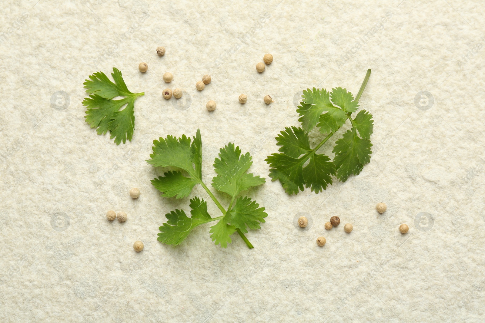 Photo of Fresh coriander leaves and dried seeds on light textured table, flat lay