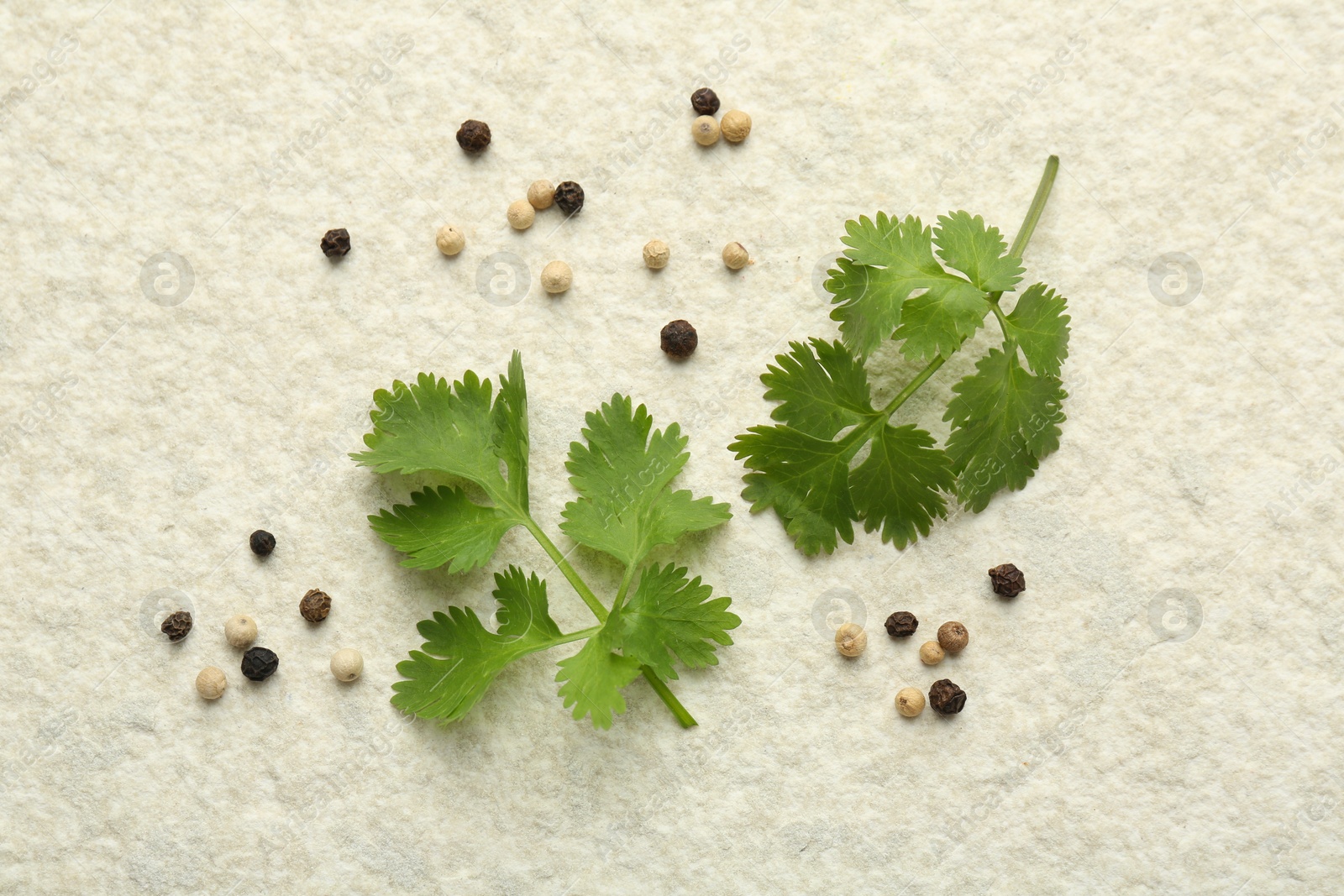 Photo of Fresh coriander leaves and peppercorns on light textured table, flat lay