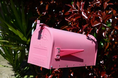 Pink letter box outdoors on sunny day