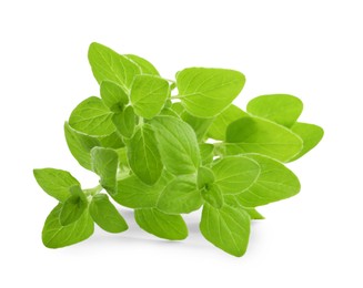 Sprig of fresh green oregano isolated on white