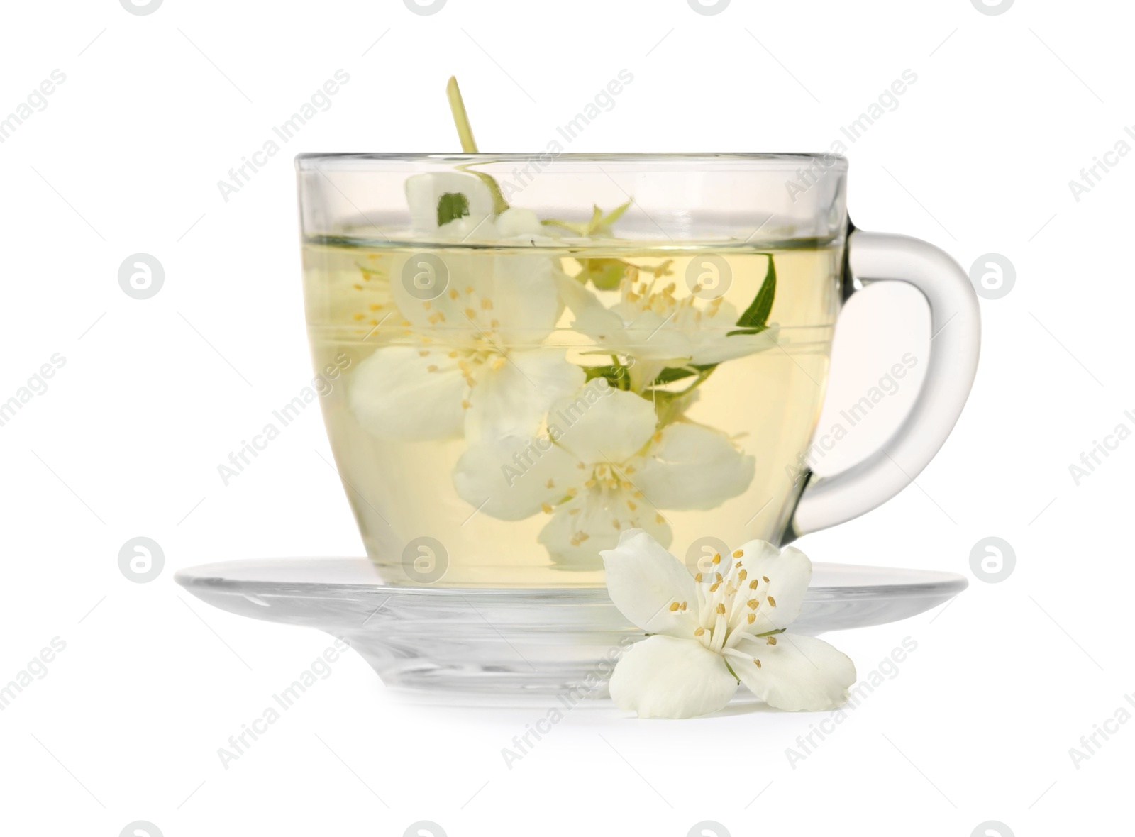 Photo of Aromatic herbal tea in glass cup and jasmine flowers isolated on white