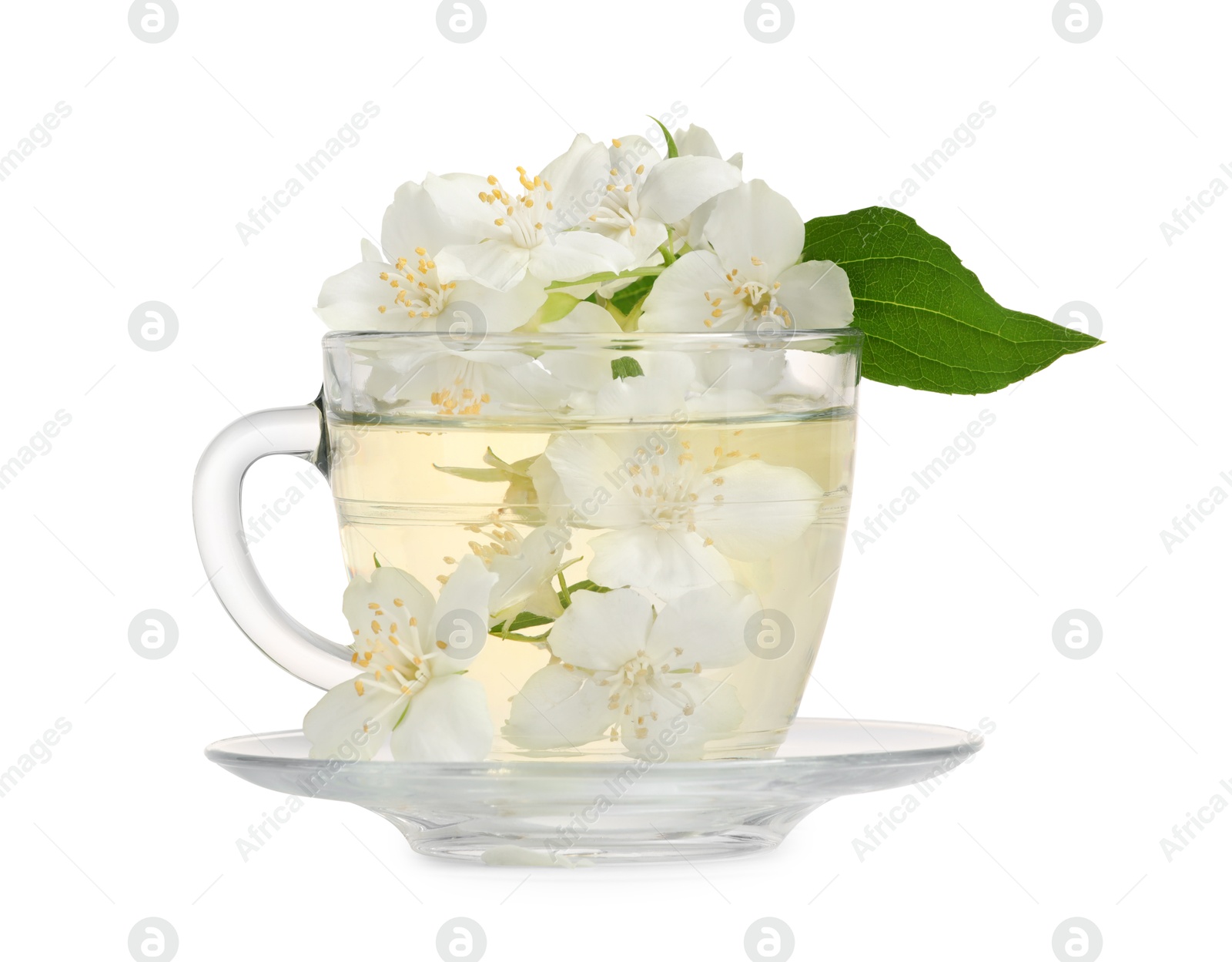 Photo of Aromatic herbal tea in glass cup and jasmine flowers isolated on white