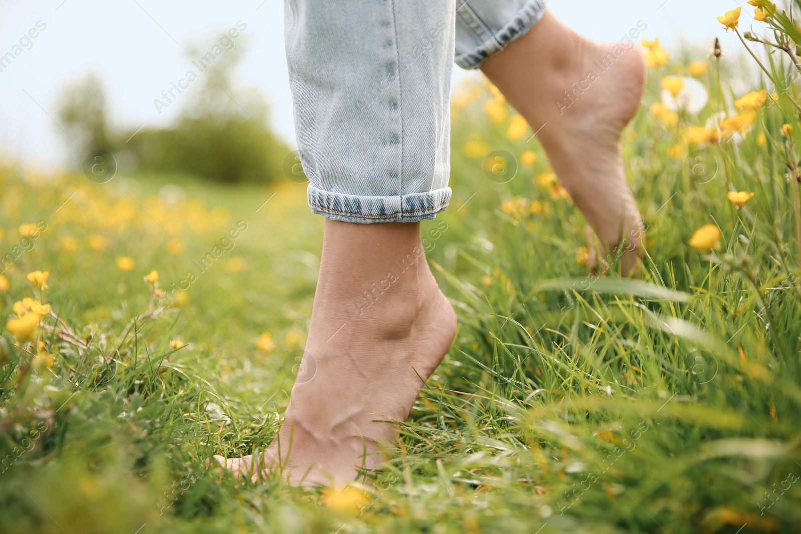 Photo of Woman walking barefoot on green grass outdoors, closeup