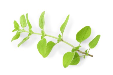 Sprig of fresh green oregano isolated on white, top view