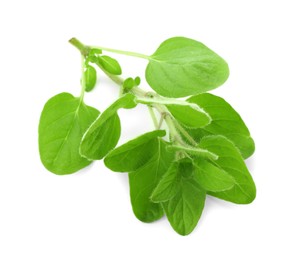 Photo of Sprig of fresh green oregano isolated on white