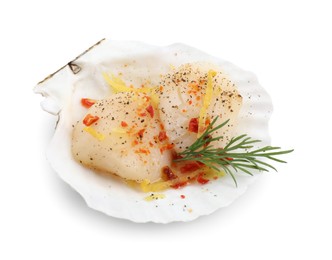 Photo of Raw scallop with lemon zest, spices, dill and shell isolated on white