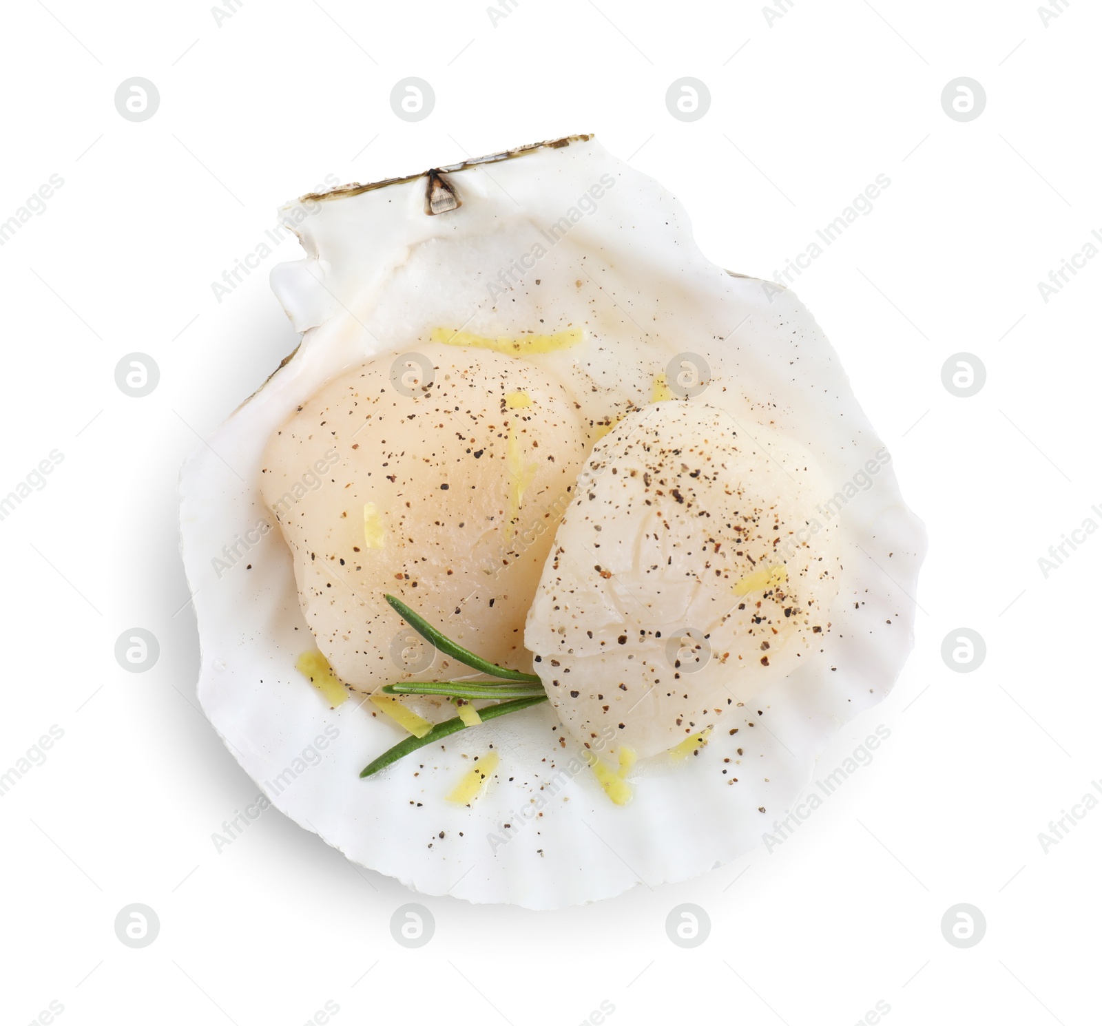 Photo of Raw scallops with lemon zest, rosemary, pepper and shell isolated on white, top view