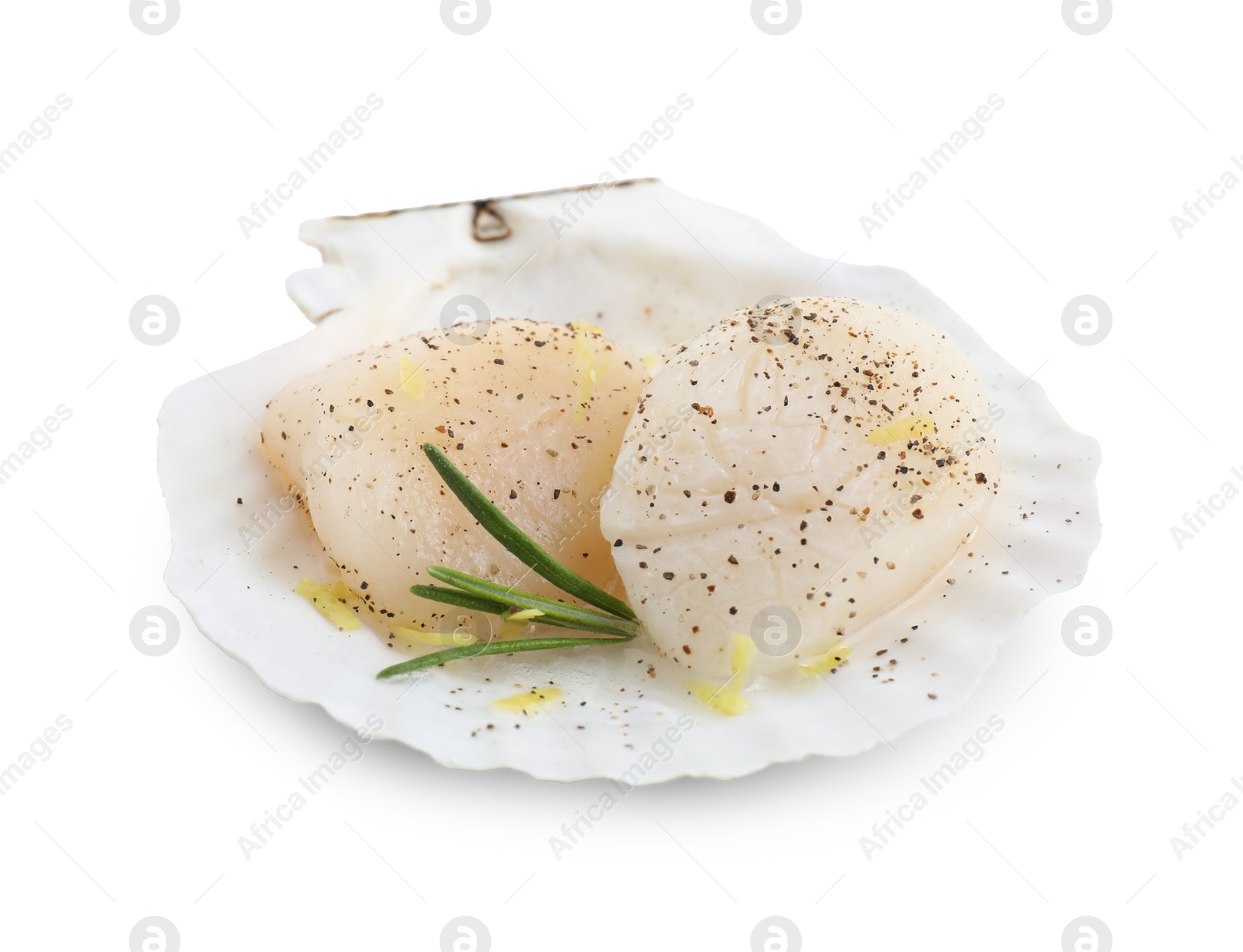Photo of Raw scallops with lemon zest, rosemary, pepper and shell isolated on white
