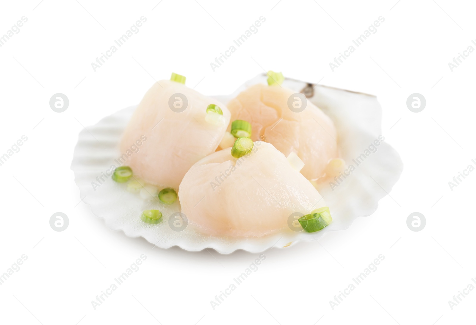 Photo of Raw scallops with green onion and shell isolated on white
