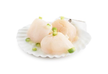 Raw scallops with green onion and shell isolated on white