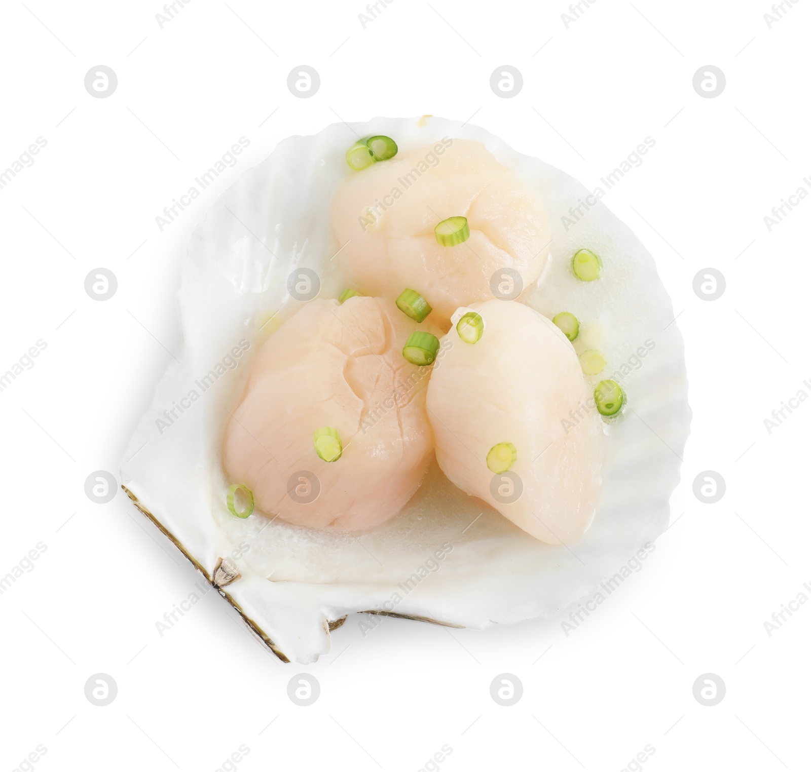 Photo of Raw scallops with green onion and shell isolated on white, top view