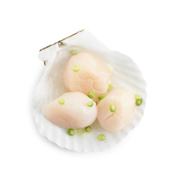 Photo of Raw scallops with green onion and shell isolated on white, top view