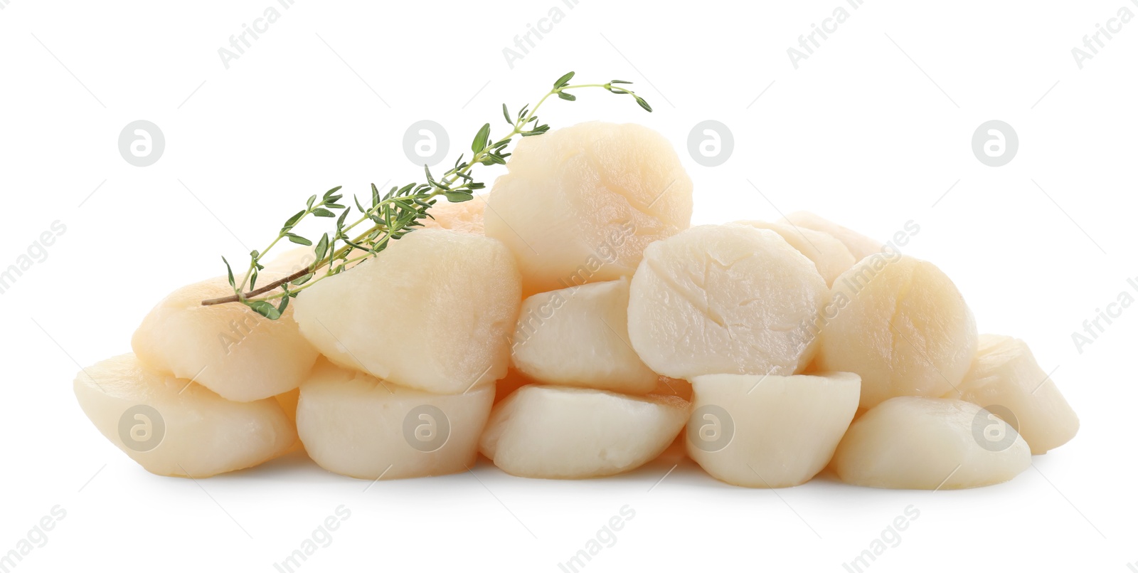 Photo of Pile of fresh raw scallops and thyme isolated on white