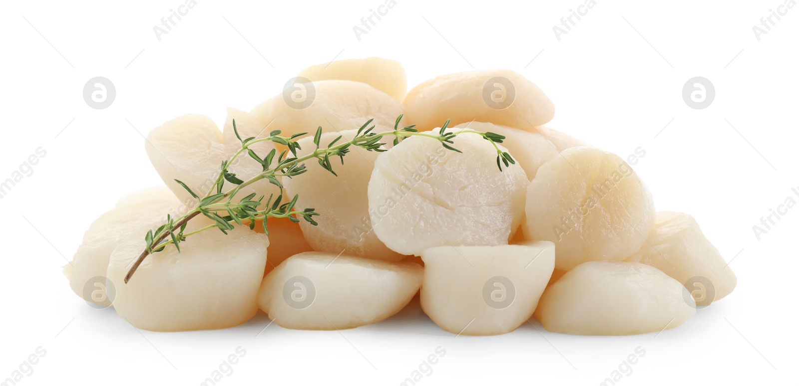 Photo of Pile of fresh raw scallops and thyme isolated on white