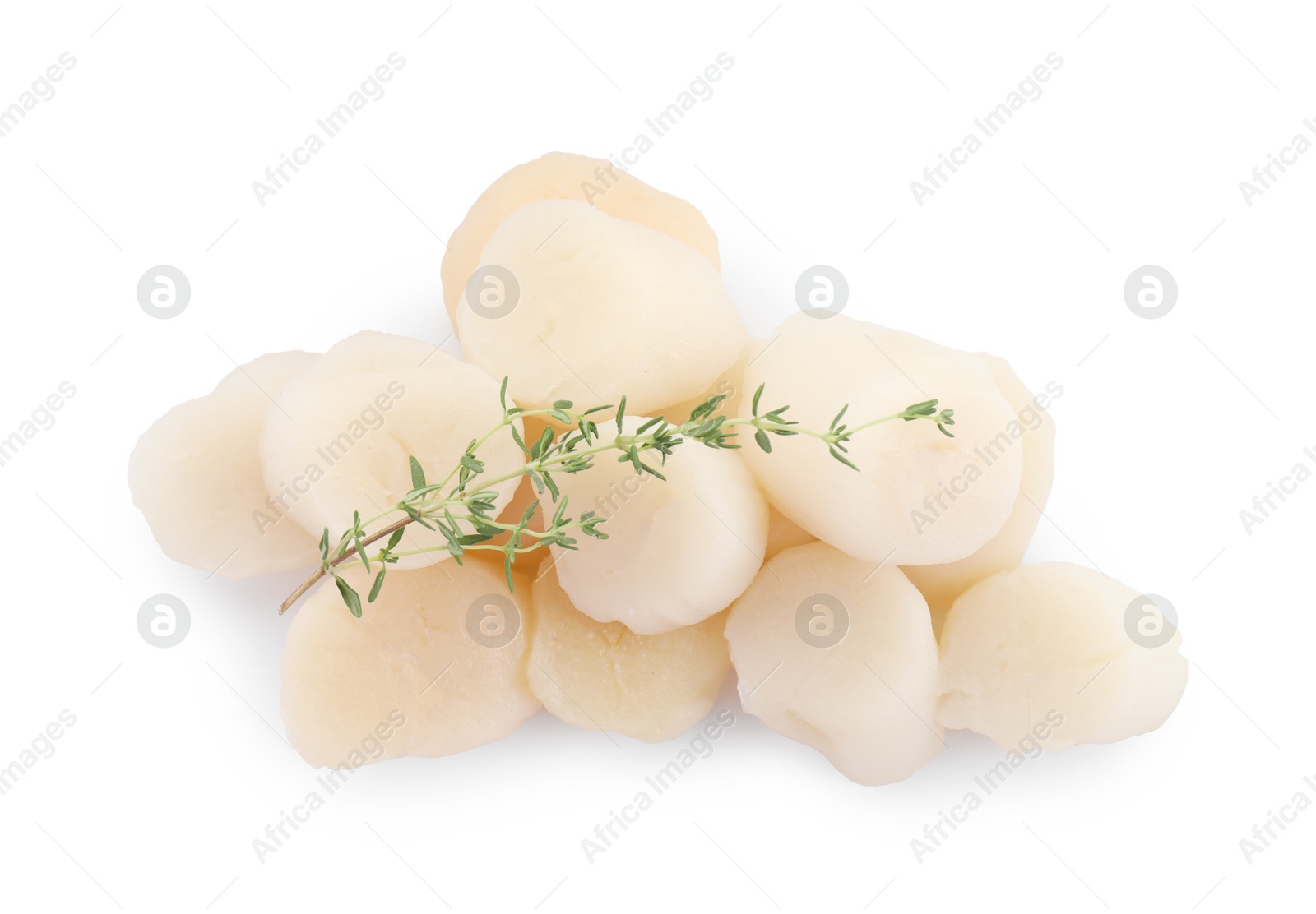 Photo of Pile of fresh raw scallops and thyme isolated on white, top view