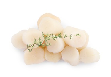 Pile of fresh raw scallops and thyme isolated on white, top view