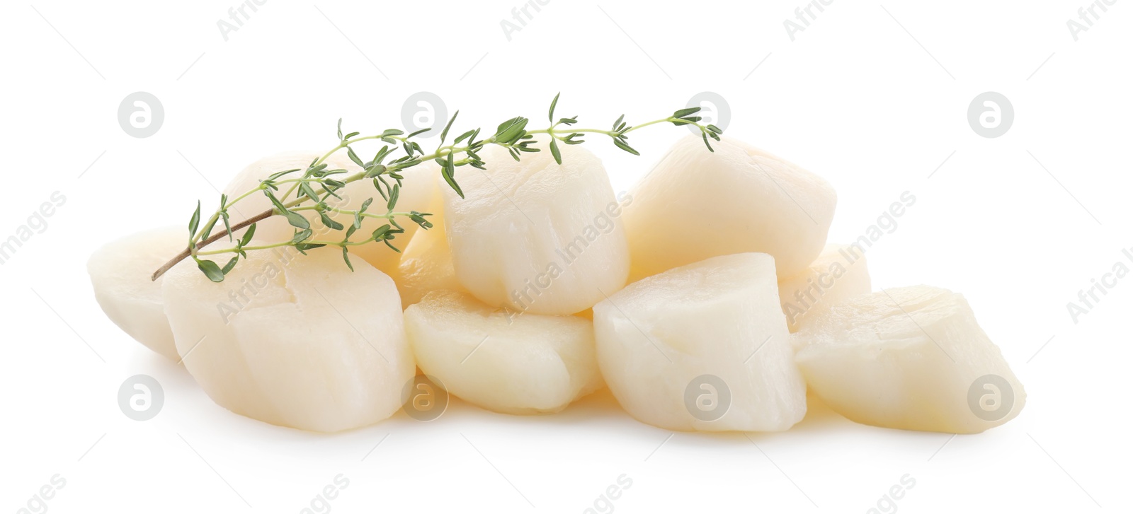 Photo of Pile of fresh raw scallops and thyme isolated on white