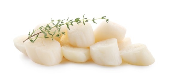 Pile of fresh raw scallops and thyme isolated on white