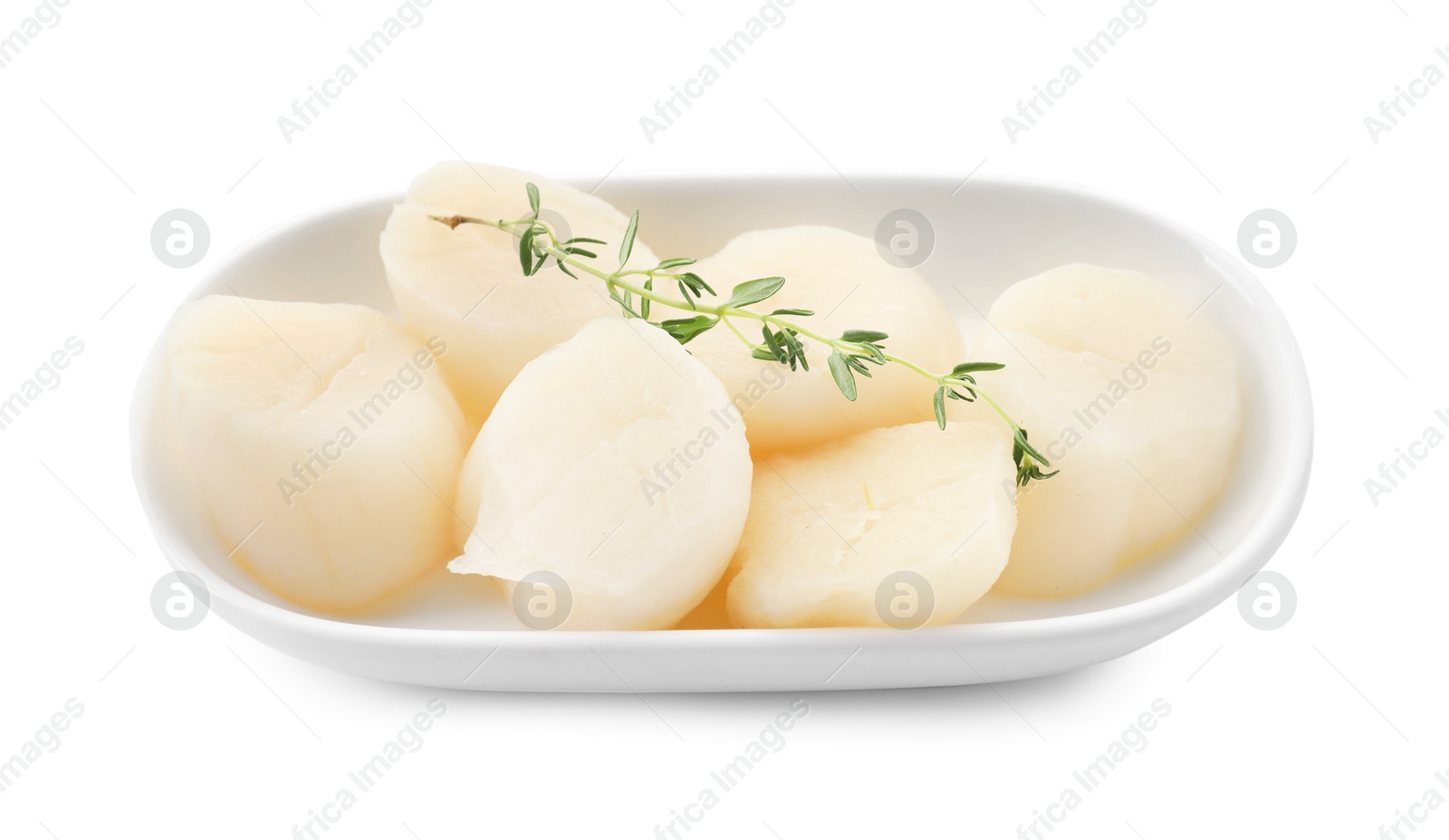 Photo of Fresh raw scallops and thyme isolated on white