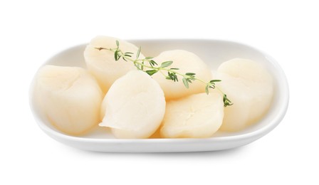 Fresh raw scallops and thyme isolated on white