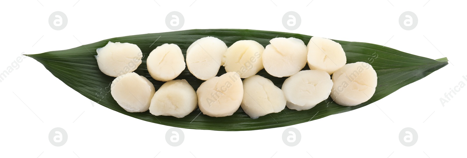 Photo of Fresh raw scallops and green leaf isolated on white, top view