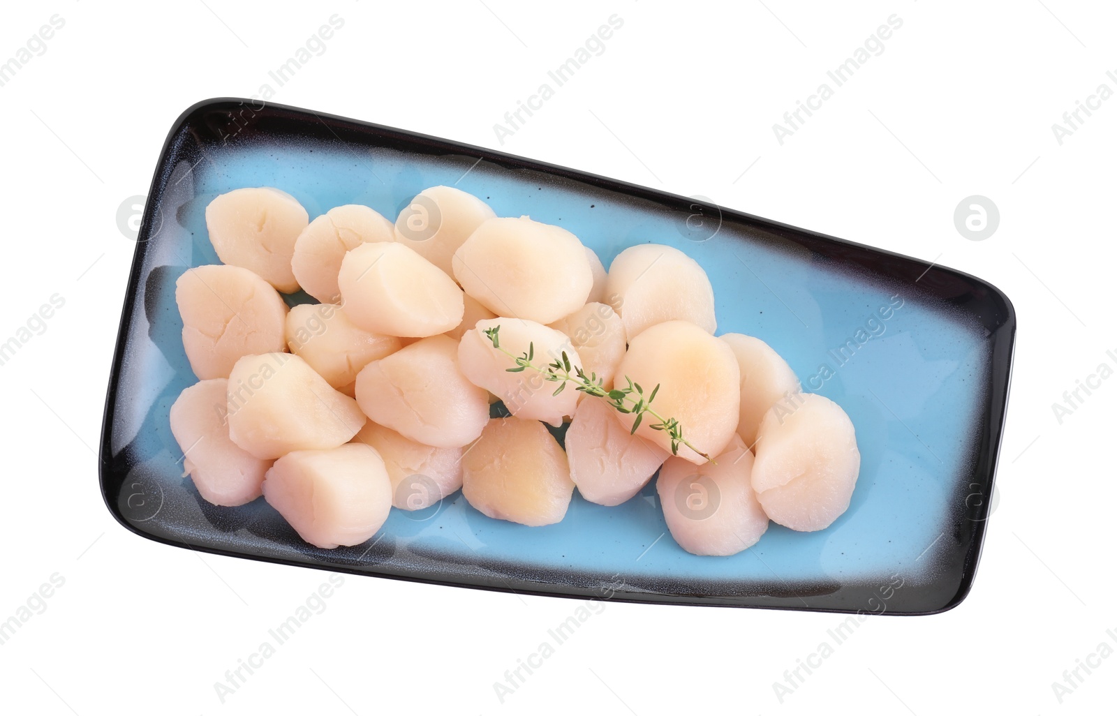 Photo of Fresh raw scallops and thyme isolated on white, top view