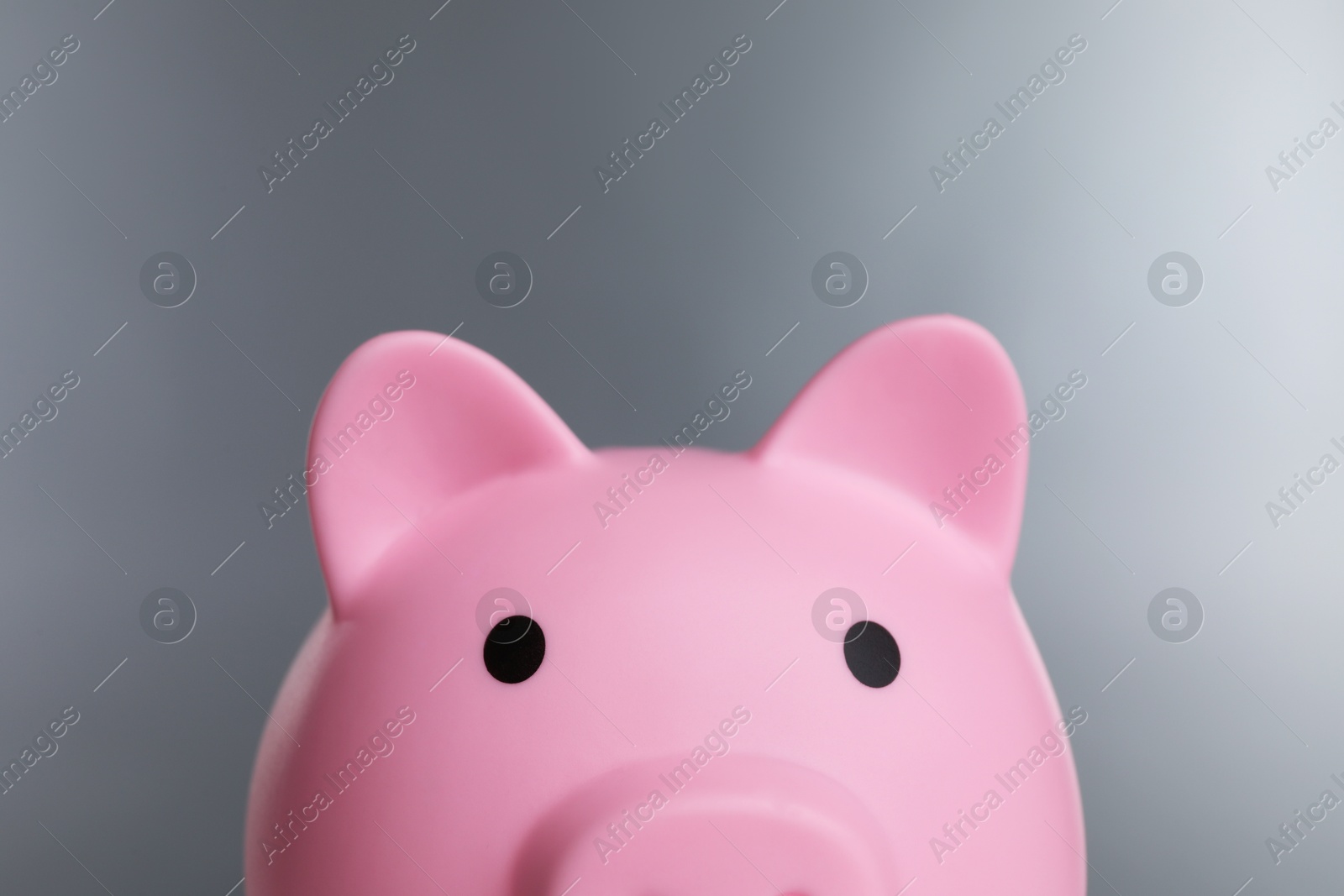 Photo of Pink piggy bank on grey background, closeup