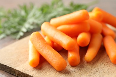 Pile of baby carrots on table, closeup