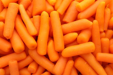 Many baby carrots as background, top view