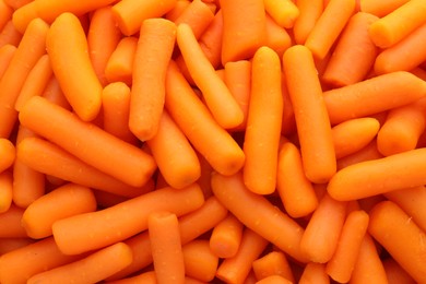 Photo of Many baby carrots as background, top view