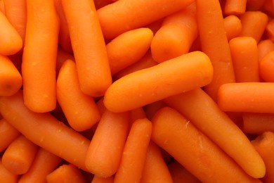 Photo of Many baby carrots as background, top view