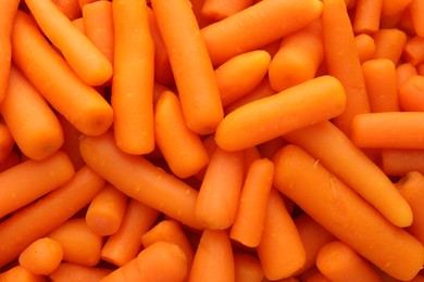 Many baby carrots as background, top view