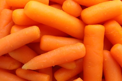 Many baby carrots as background, top view