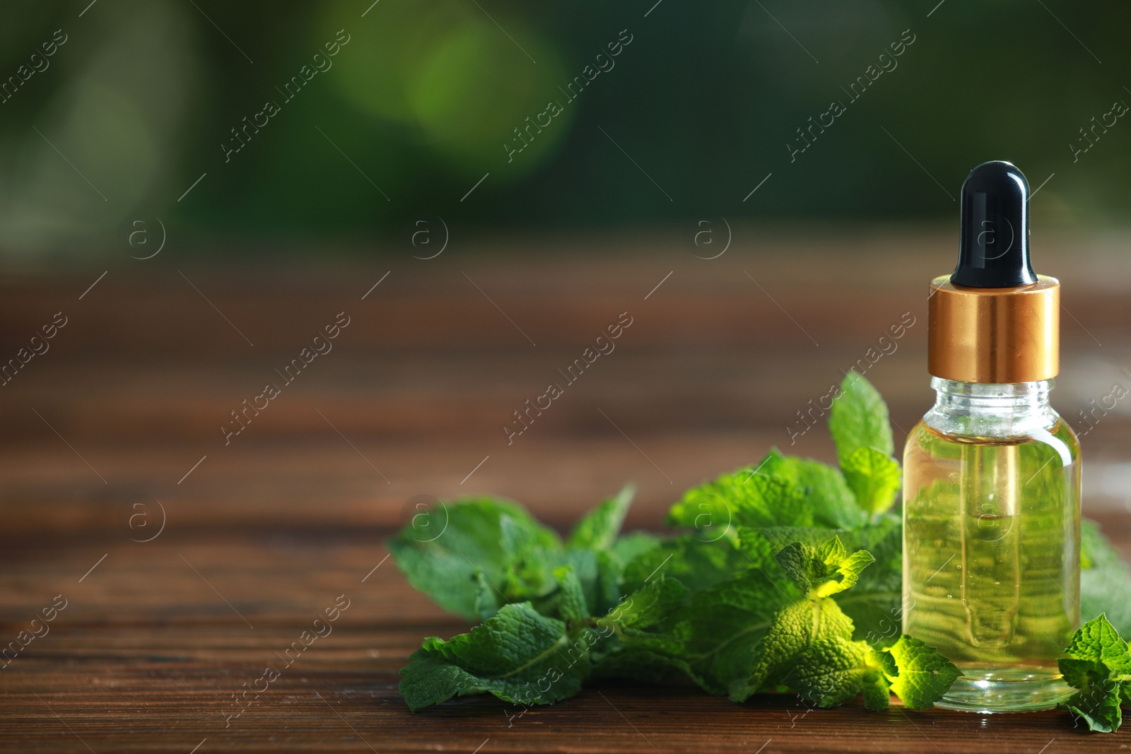 Photo of Bottle of mint essential oil and fresh leaves on wooden table, space for text