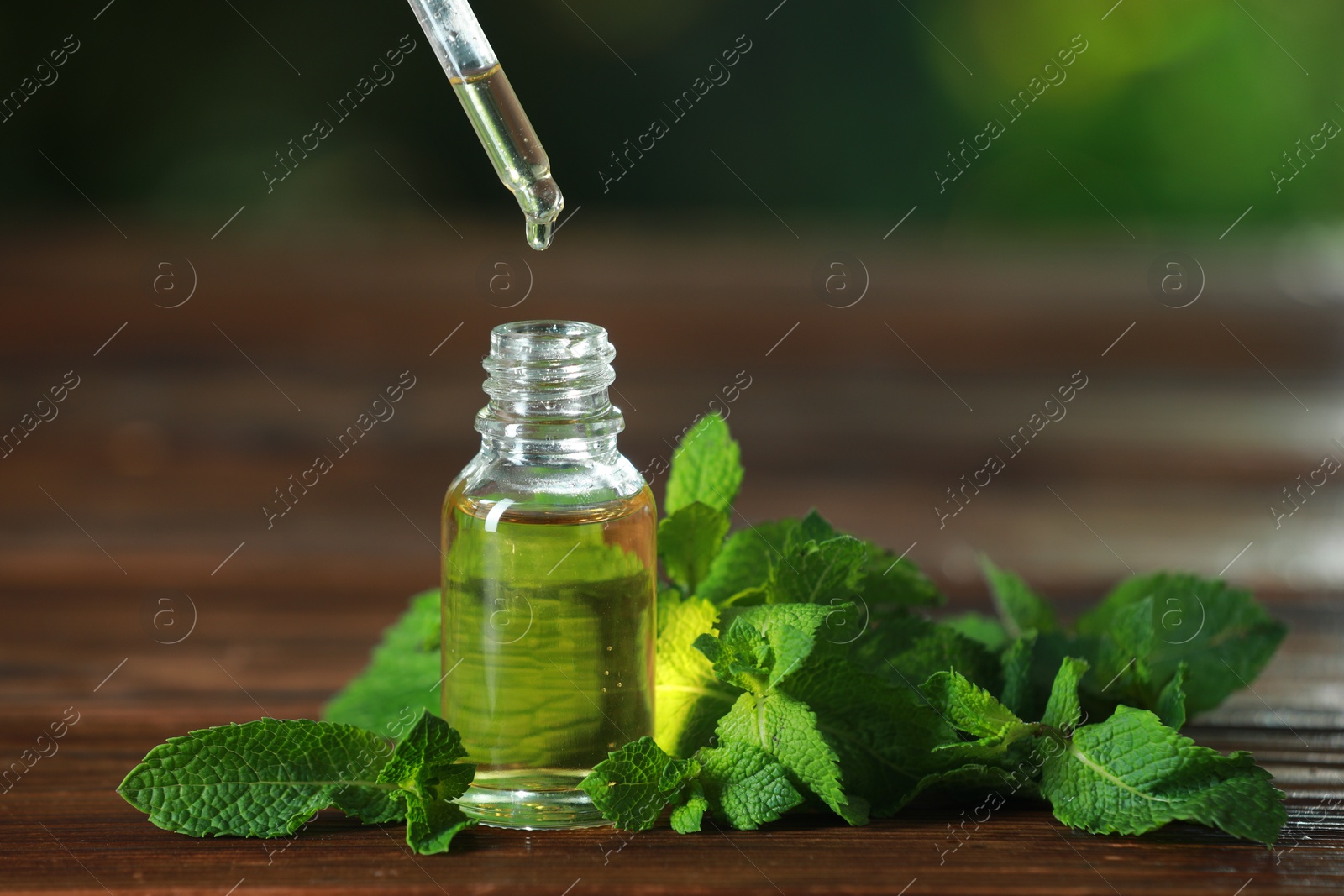 Photo of Dripping mint essential oil from pipette into bottle of on wooden table, closeup