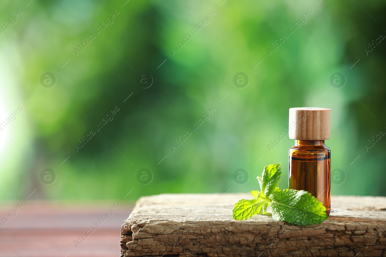 Photo of Bottle of mint essential oil and fresh leaves on wooden table, space for text