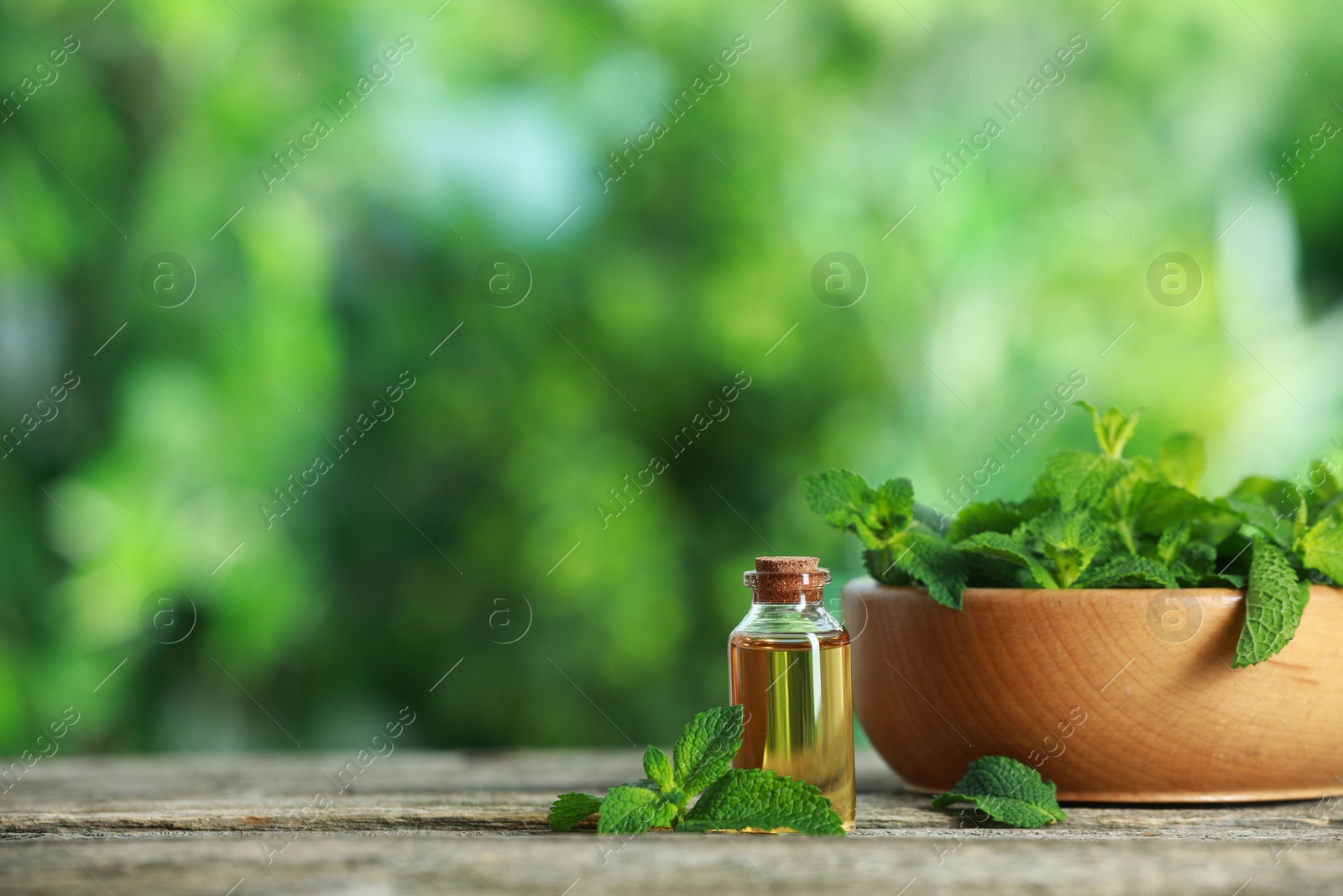 Photo of Bottle of mint essential oil and fresh leaves on wooden table, space for text