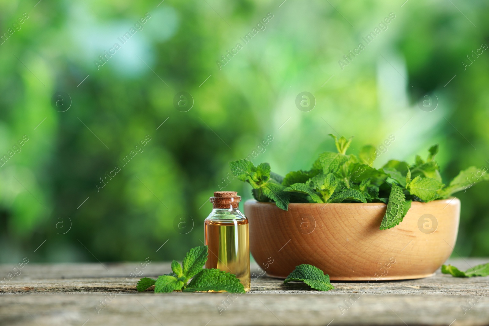 Photo of Bottle of mint essential oil and fresh leaves on wooden table, space for text