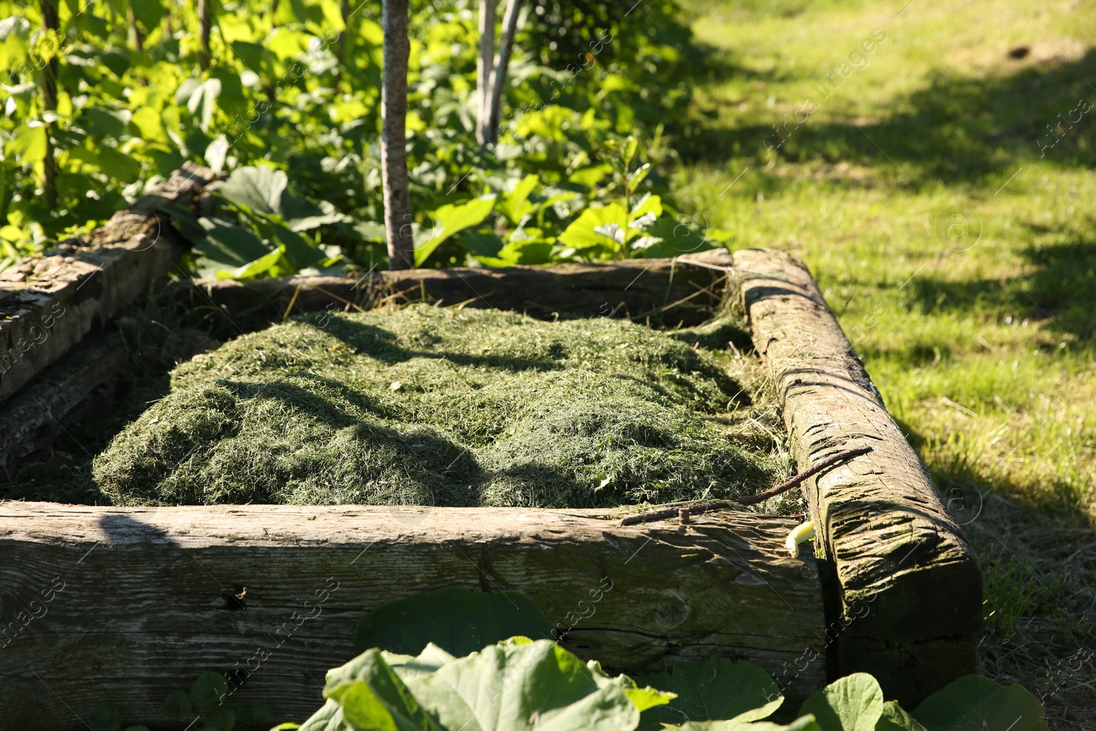 Photo of Heap of mown grass outdoors on sunny day