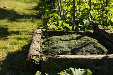 Heap of mown grass outdoors on sunny day